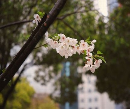 甘雨黑色冰丝连体紧身衣搭配